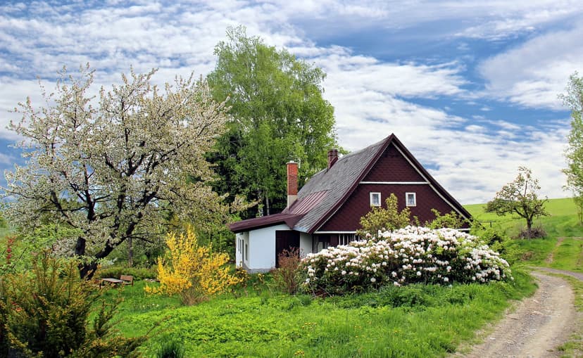 house surrounded by grass and trees